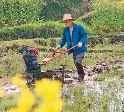 疫情防控的基本常識是什么？（疫情防控和春耕備耕兩不誤）